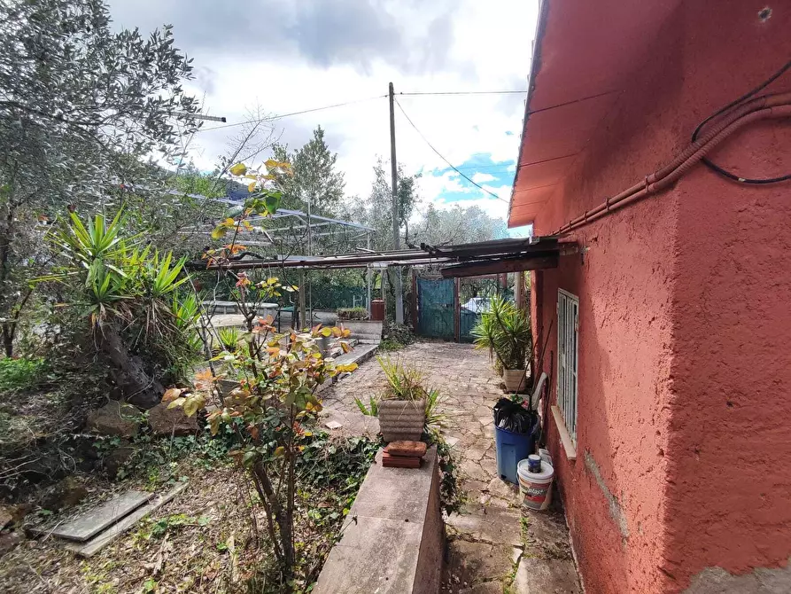 Immagine 3 di Terreno agricolo in vendita  in Via Dello Scalo Ferroviario 12 a Marcellina