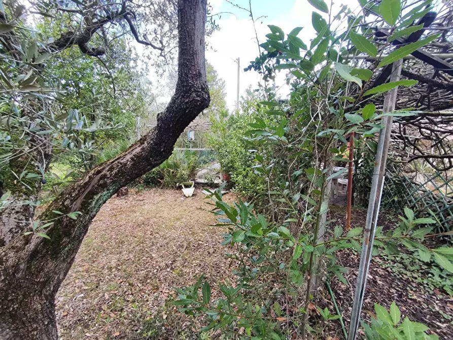 Immagine 8 di Terreno agricolo in vendita  in Via Dello Scalo Ferroviario 12 a Marcellina