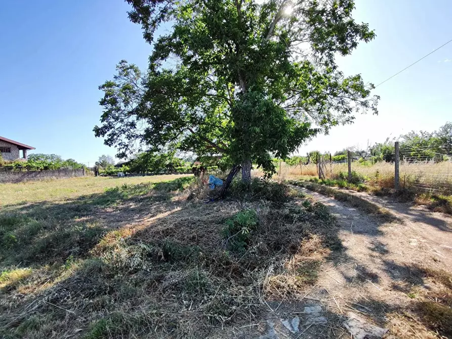 Immagine 5 di Terreno agricolo in vendita  in via colle ponte a Guidonia Montecelio