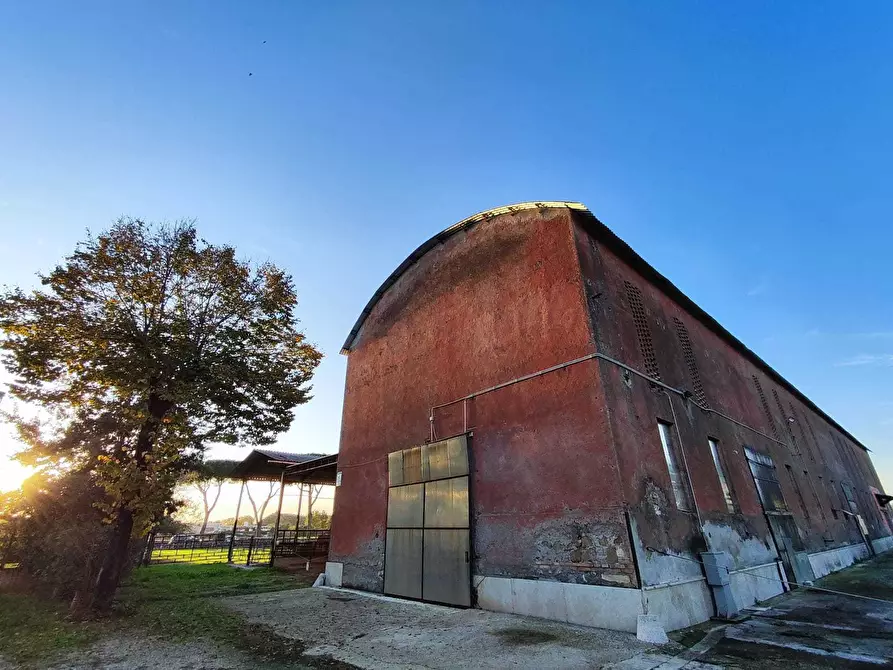 Immagine 1 di Attività artigianale in affitto  in Via Maremmana Inferiore 378 a Guidonia Montecelio