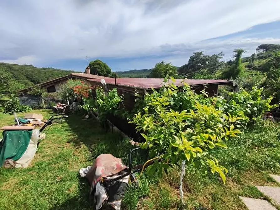 Immagine 9 di Terreno agricolo in vendita  in via monte palombino a Fonte Nuova