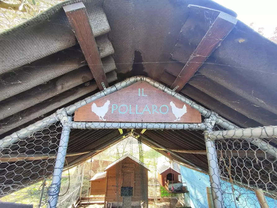 Immagine 21 di Terreno agricolo in vendita  in Via Colle di Mitriano a Guidonia Montecelio