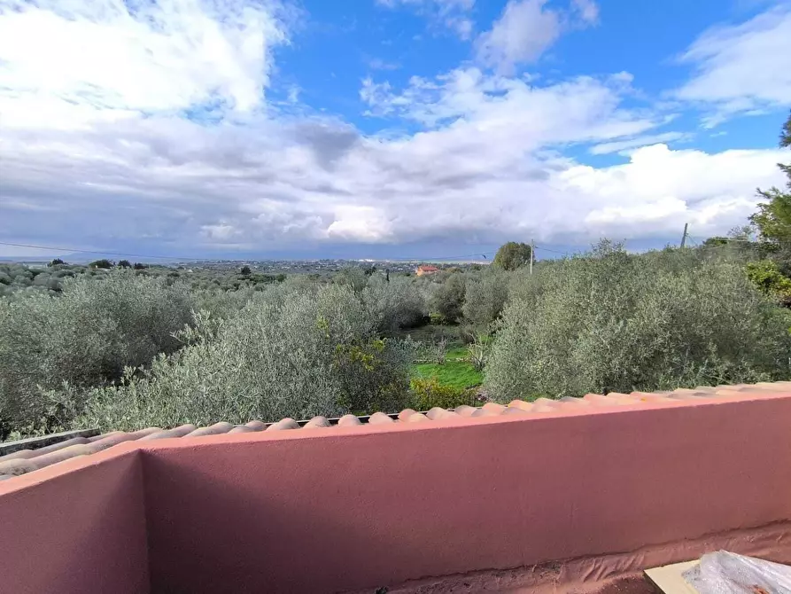 Immagine 17 di Villa in vendita  in Strada Vicinale Li Curuneddi Tronco B a Sassari