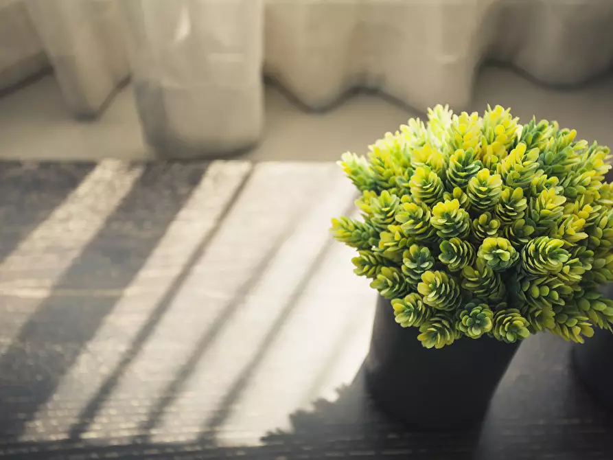 Immagine 14 di Porzione di casa in vendita  in via Confine di San Giorgio 510 a Cesena