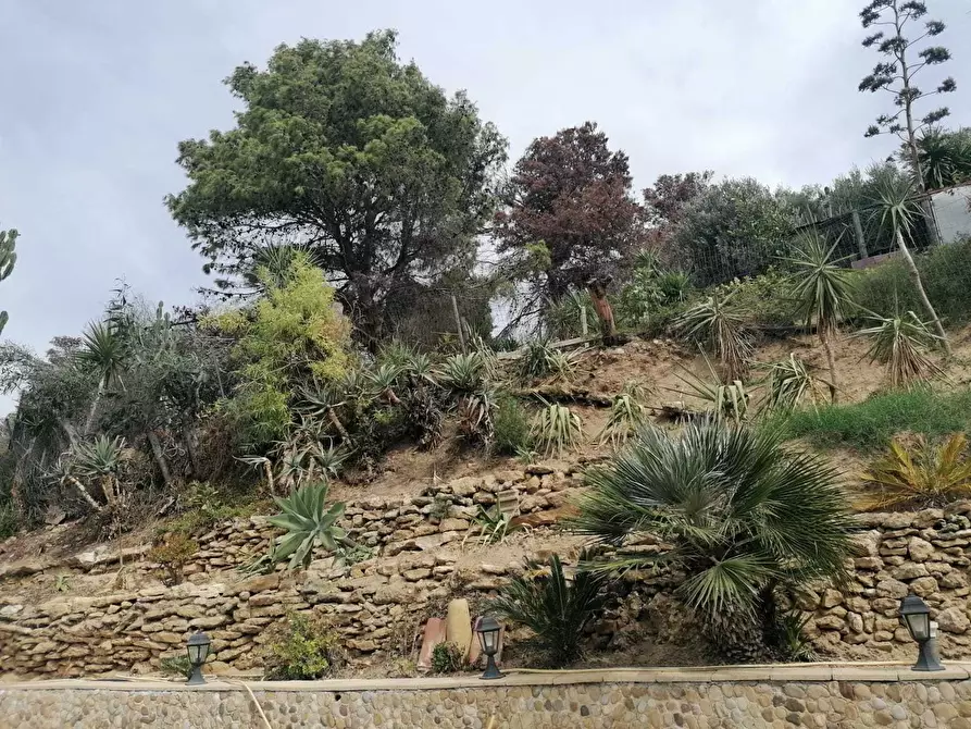 Immagine 6 di Casa indipendente in vendita  a Balestrate