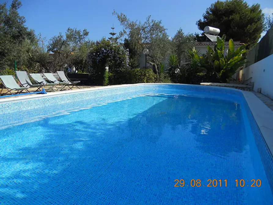 Immagine 33 di Villa in vendita  a Partinico