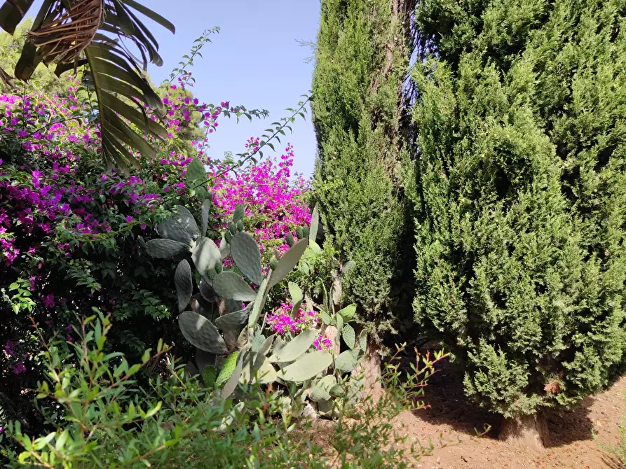 Immagine 76 di Villa in vendita  a Castellammare Del Golfo
