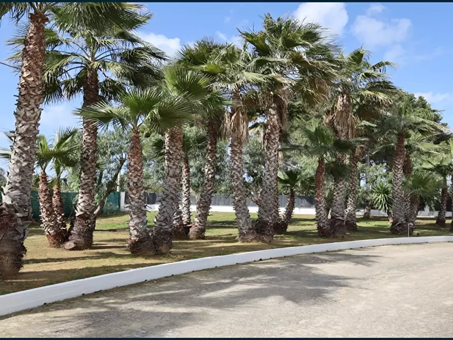 Immagine 31 di Villa in vendita  a Partinico