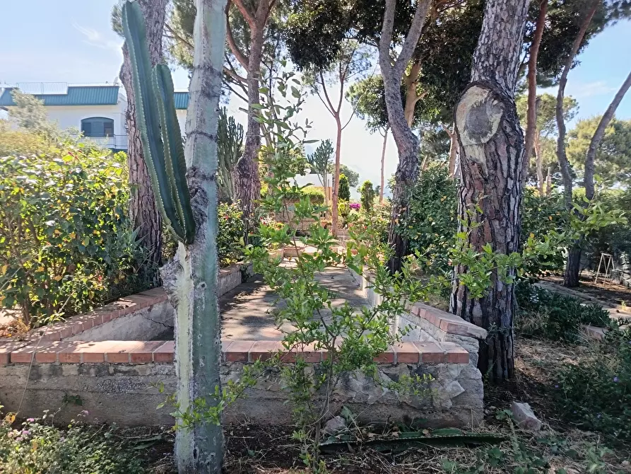 Immagine 37 di Villa in vendita  a Trabia