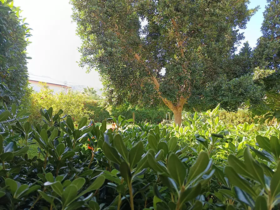 Immagine 57 di Villetta a schiera in vendita  a Castellammare Del Golfo