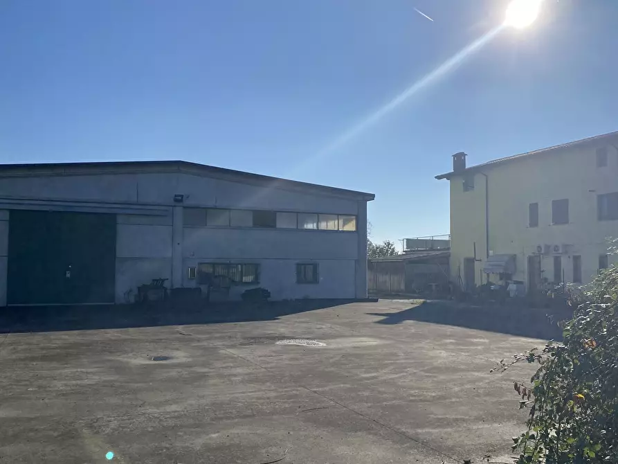 Immagine 5 di Capannone industriale in vendita  in Strada Provinciale 99 2 a Pancarana
