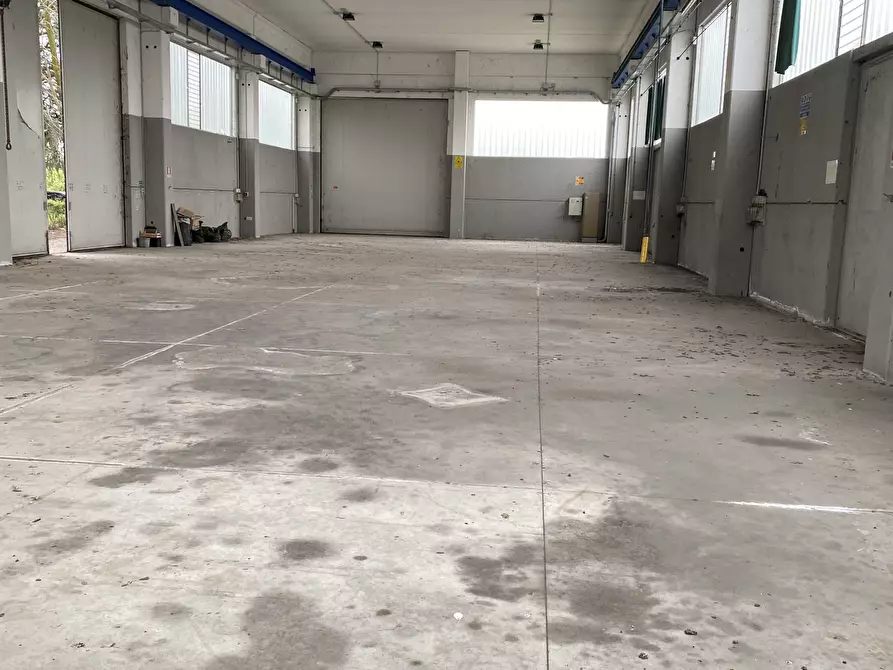 Immagine 22 di Capannone industriale in vendita  in Via Risorgimento 2 a Somaglia
