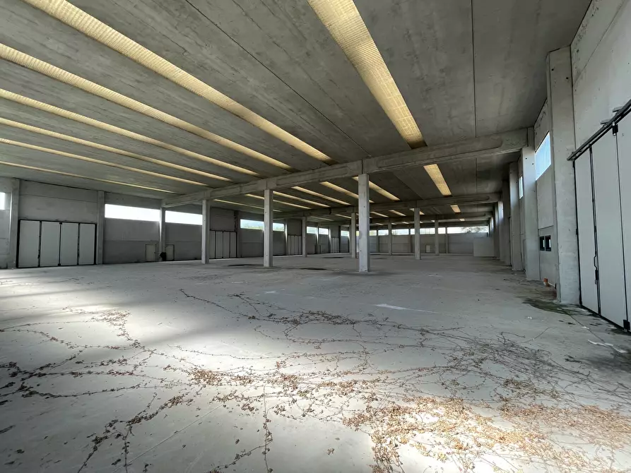 Immagine 8 di Magazzino in vendita  in Via delle Barazzine 9 a Pieve Porto Morone