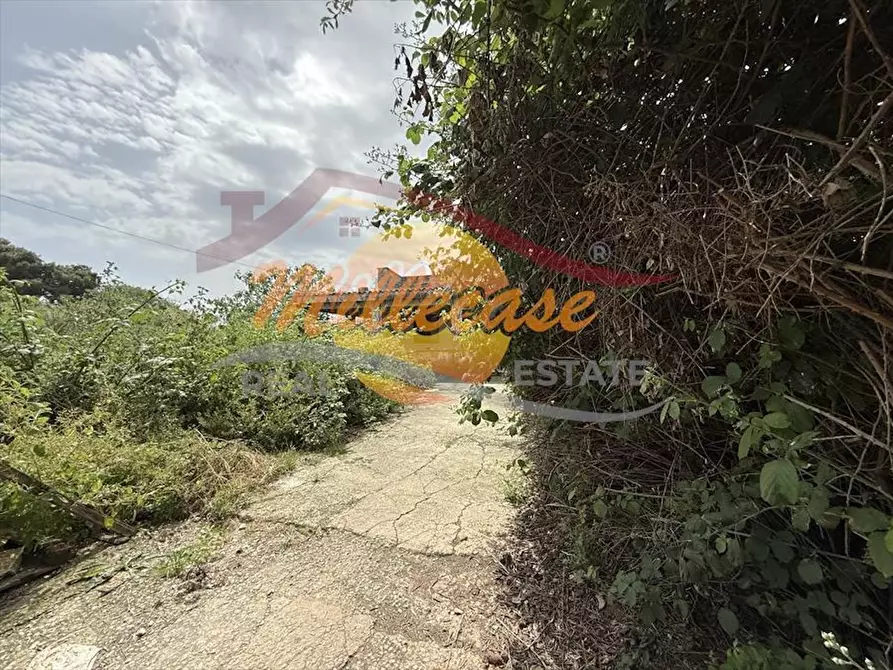 Immagine 3 di Villa in vendita  in VIA ISOLE CAROLINE a Siracusa