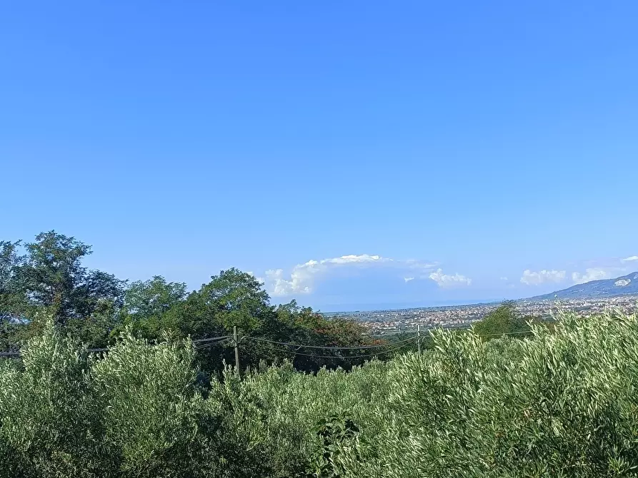 Immagine 12 di Villa in vendita  in SP79 a Feroleto Antico