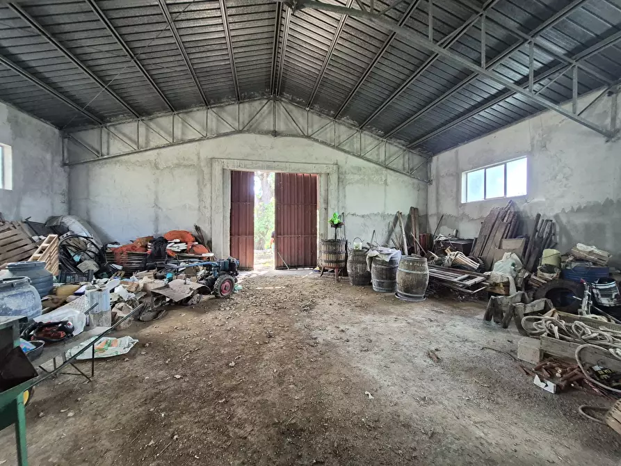 Immagine 22 di Casa indipendente in vendita  in Contrada San Filippo 7 a Pianopoli