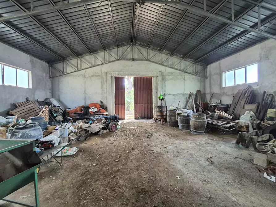 Immagine 24 di Casa indipendente in vendita  in Contrada San Filippo 7 a Pianopoli