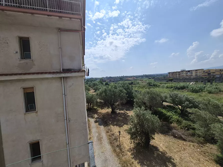 Immagine 15 di Pentalocale in vendita  in Via del Progresso 525 a Lamezia Terme