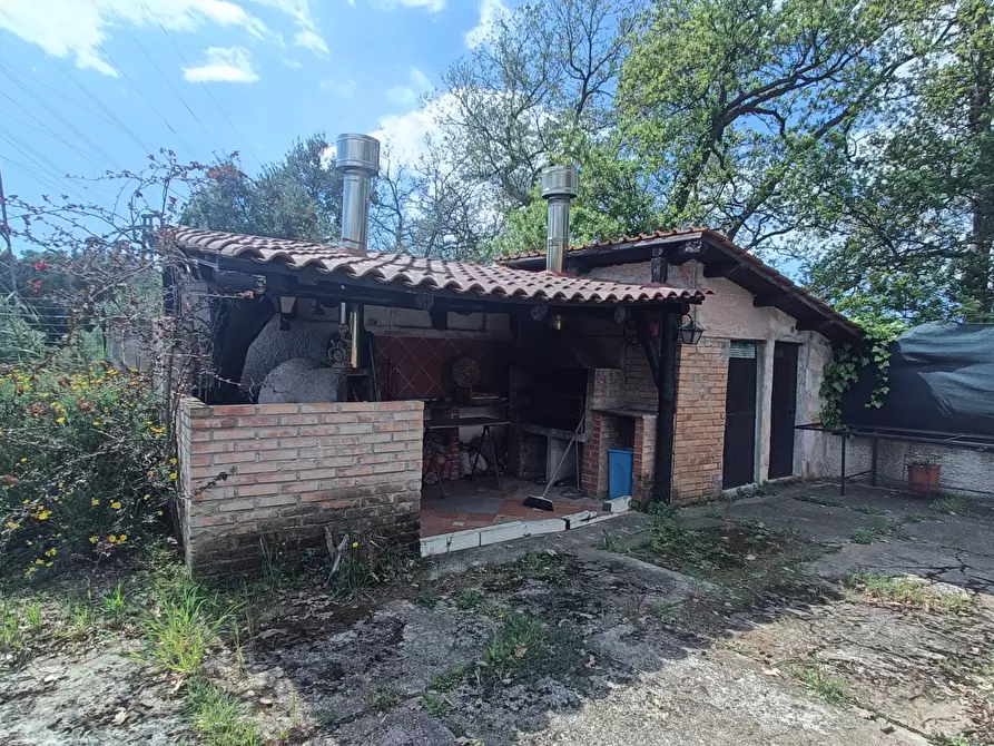 Immagine 9 di Casa indipendente in vendita  in strada provinciale a Pianopoli
