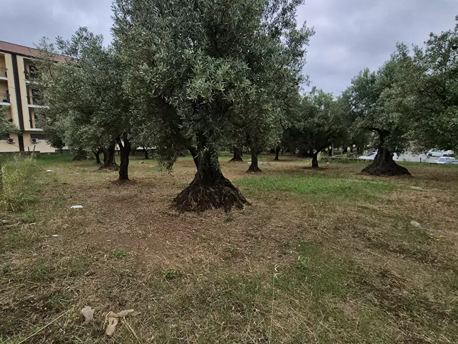 Immagine 3 di Terreno edificabile in vendita  in Via Ingegnere Giuseppe d'Audino 18 a Lamezia Terme