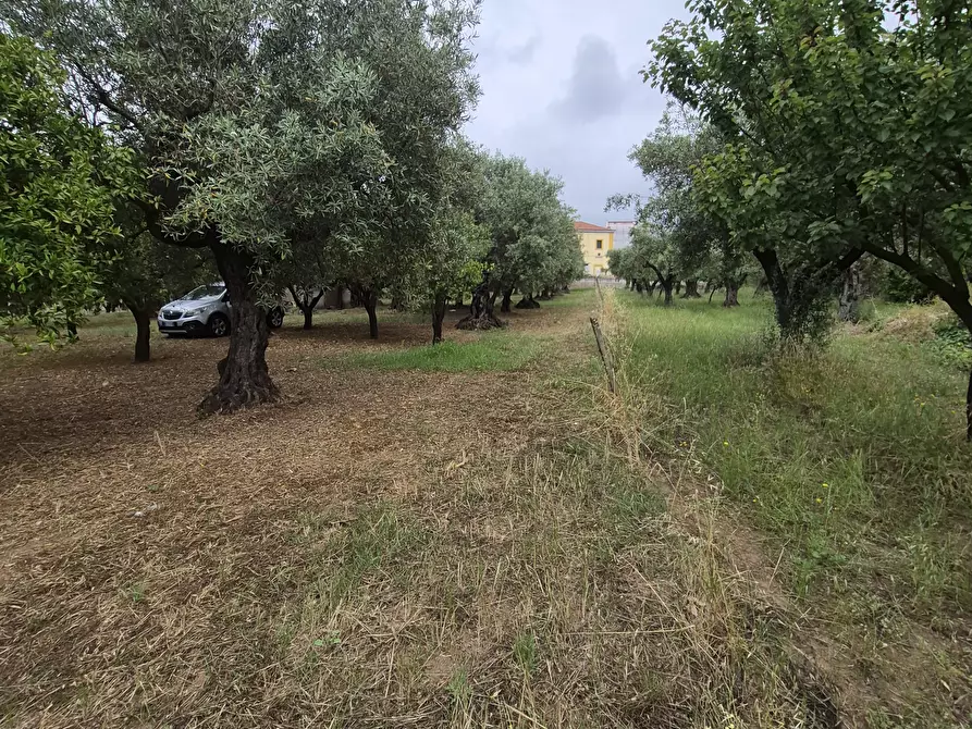 Immagine 1 di Terreno edificabile in vendita  in Via Ingegnere Giuseppe d'Audino 18 a Lamezia Terme
