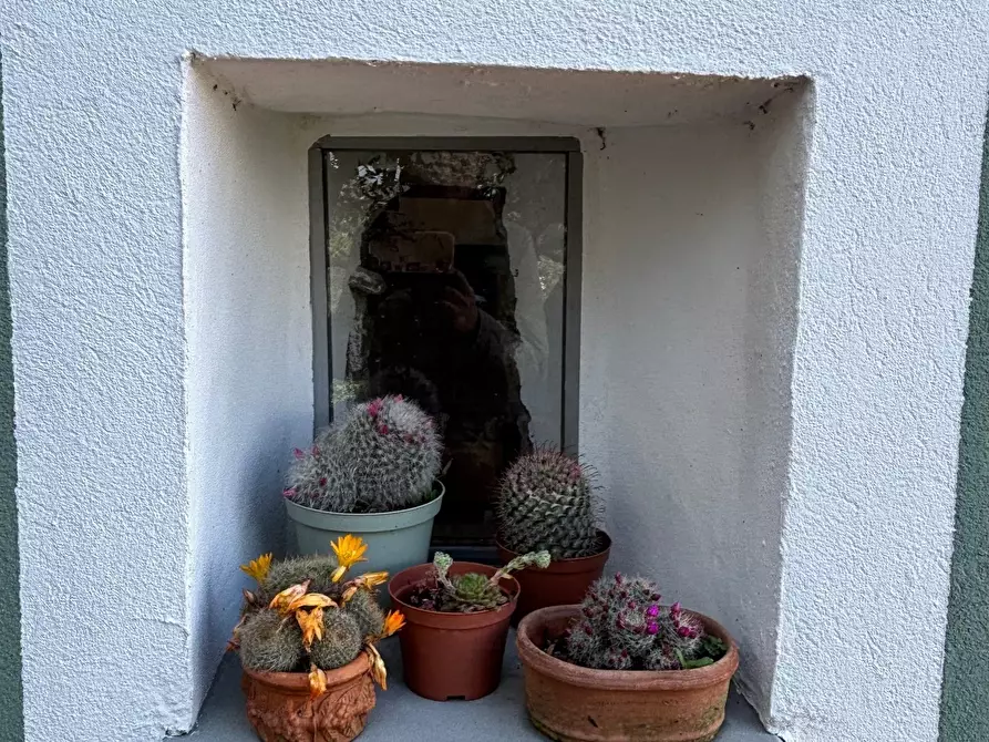 Immagine 29 di Casa indipendente in vendita  a La Spezia