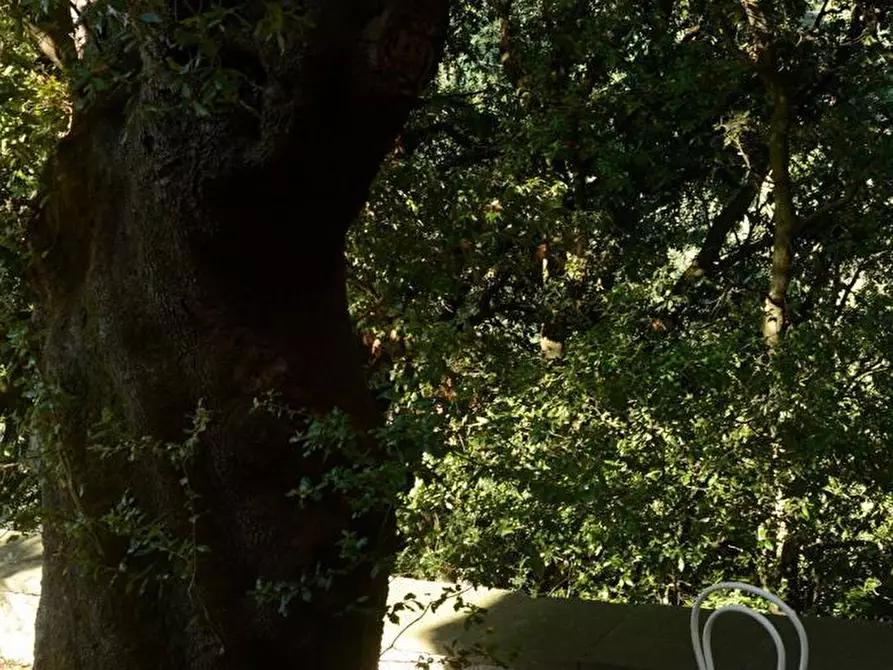 Immagine 48 di Villa in vendita  a Sarzana