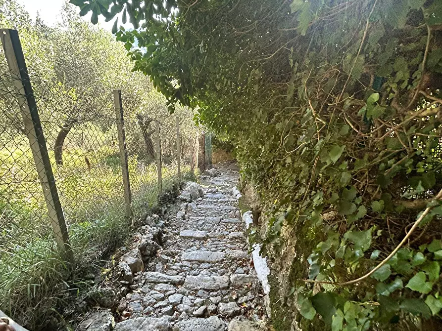 Immagine 9 di Terreno agricolo in vendita  in Via Giuseppe Garibaldi 51 a Lerici