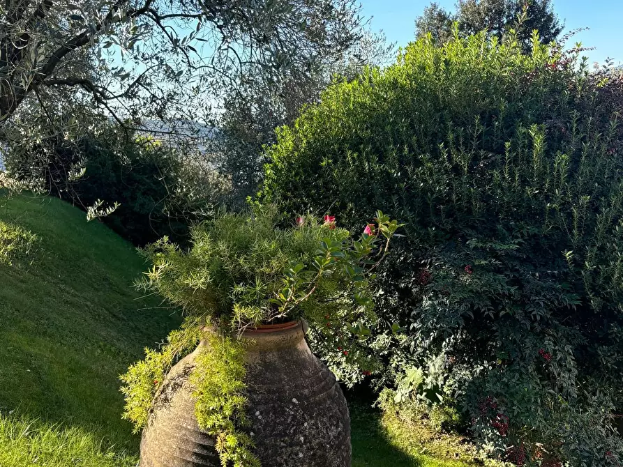 Immagine 17 di Villa in vendita  a Sarzana