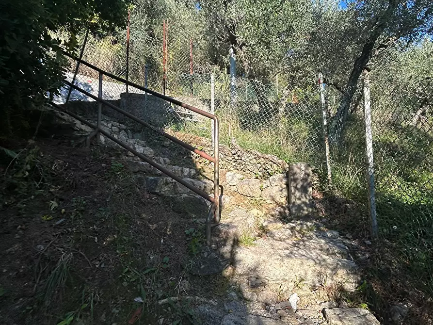 Immagine 10 di Terreno agricolo in vendita  in Via Giuseppe Garibaldi 51 a Lerici