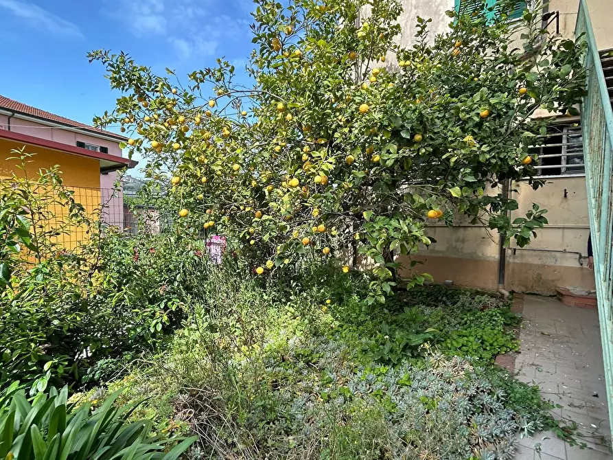 Immagine 4 di Porzione di casa in vendita  a Sarzana