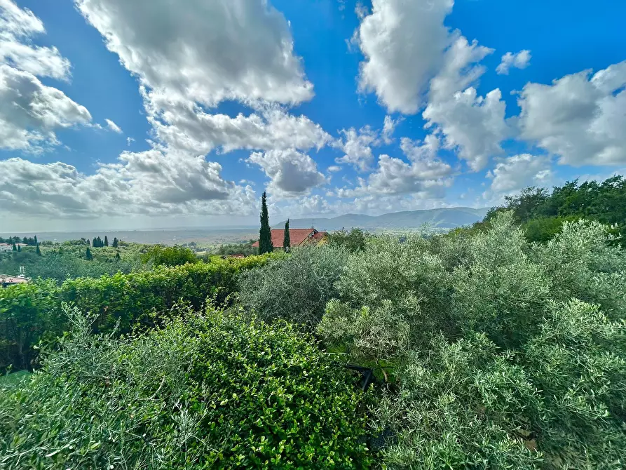 Immagine 15 di Villa in vendita  a Sarzana