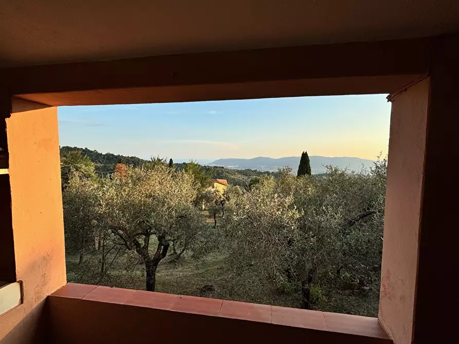 Immagine 18 di Villa in vendita  a Fosdinovo