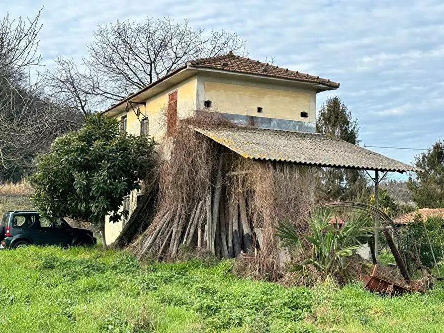 Immagine 1 di Terreno agricolo in vendita  a Arcola