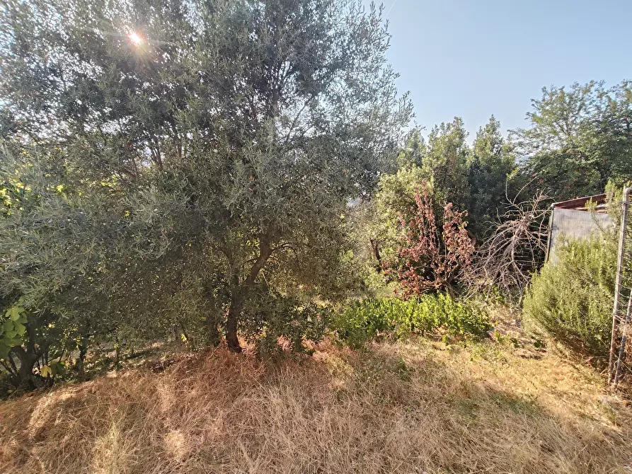 Immagine 26 di Casa indipendente in vendita  in Località Bilegno 29 a Pianello Val Tidone