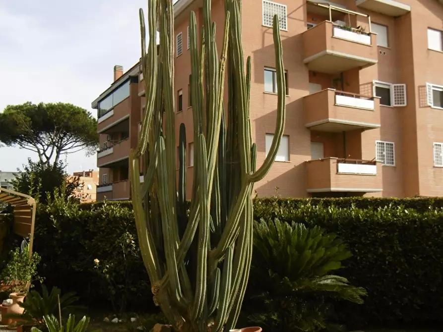 Immagine 27 di Trilocale in vendita  in VIA LORENZO ALLIEVI a Roma