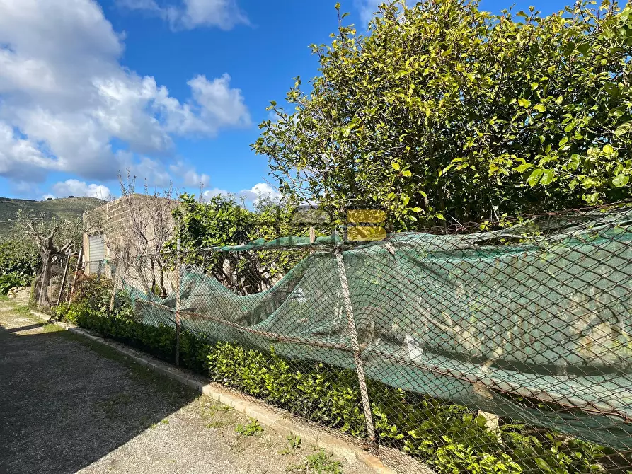 Immagine 11 di Casa indipendente in vendita  a Valderice