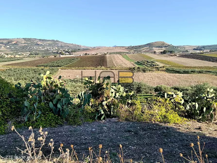 Immagine 2 di Terreno agricolo in vendita  a Valderice