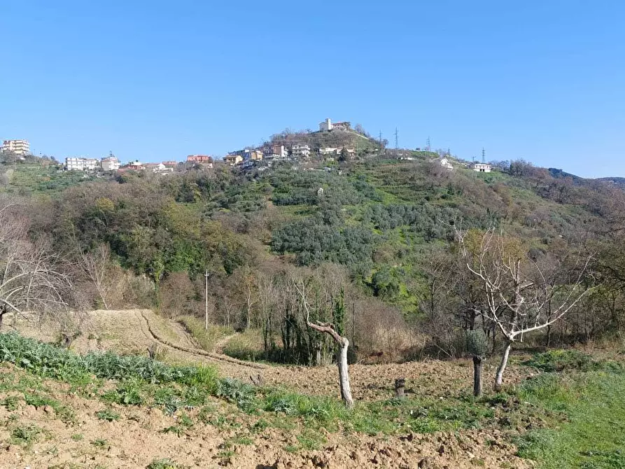 Immagine 14 di Terreno agricolo in vendita  in via casa vicinanza a Salerno