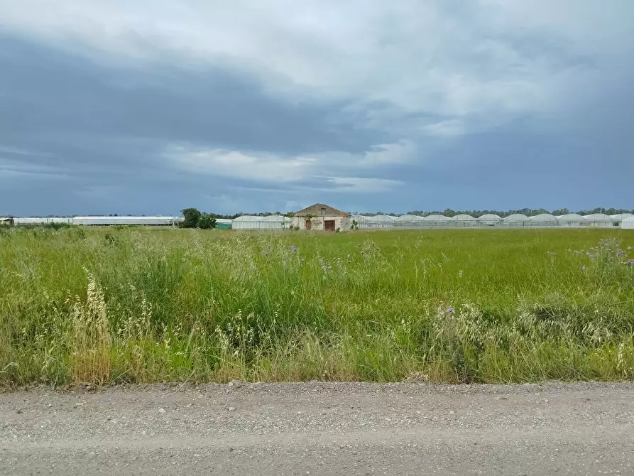 Immagine 14 di Terreno agricolo in vendita  in via bernardo tanucci a Eboli