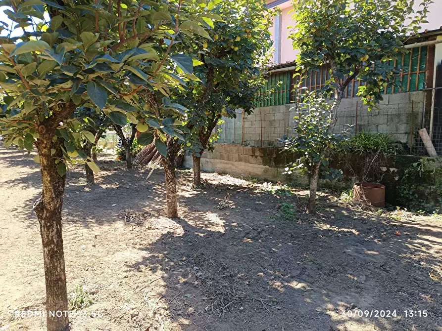 Immagine 5 di Terreno agricolo in vendita  in Via San Maria a Palo 59 a Nocera Inferiore