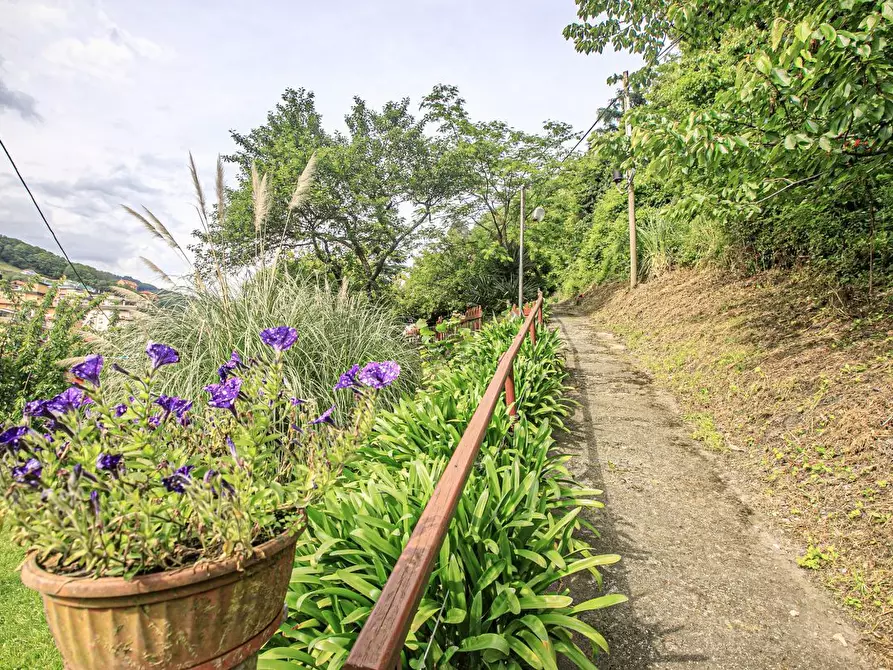 Immagine 30 di Bilocale in vendita  in Salita Castrofino a Genova