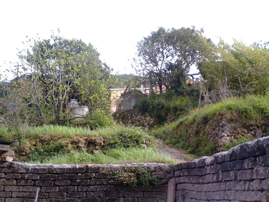 Immagine 6 di Rustico / casale in vendita  a Monte Argentario