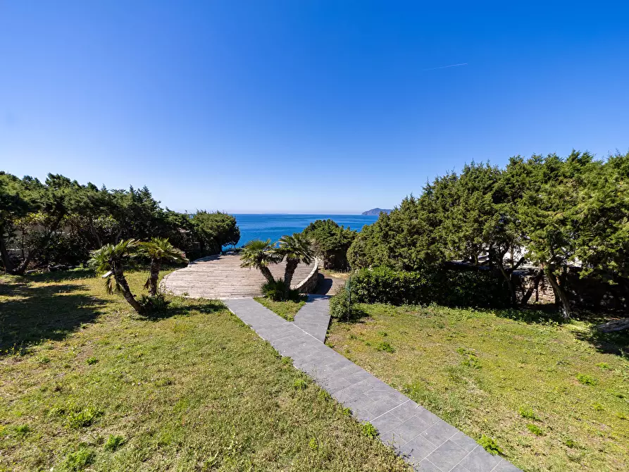 Immagine 18 di Villa in affitto  in Via delle Mimose snc a Orbetello