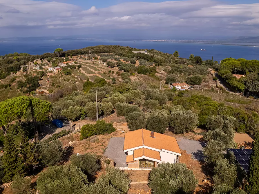 Immagine 24 di Casa indipendente in vendita  in Via della cacciarella 2 a Monte Argentario