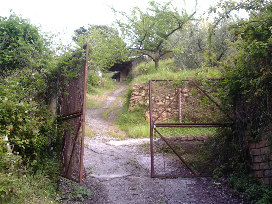 Immagine 4 di Rustico / casale in vendita  a Monte Argentario