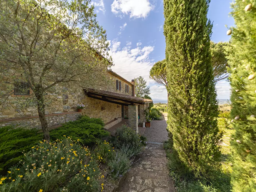 Immagine 13 di Rustico / casale in vendita  in vicolo dei fossi 2/C a Scansano