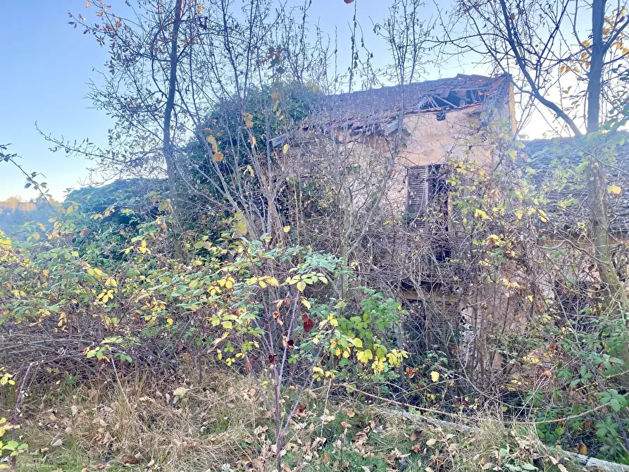 Immagine 4 di Terreno agricolo in vendita  in SP115 15 a Marsaglia
