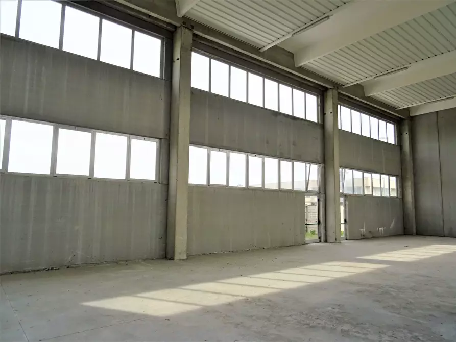 Immagine 4 di Attività artigianale in vendita  a Senigallia