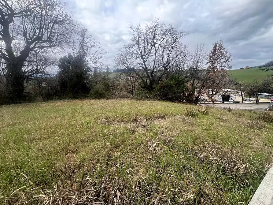 Immagine 4 di Terreno industriale in vendita  a Trecastelli